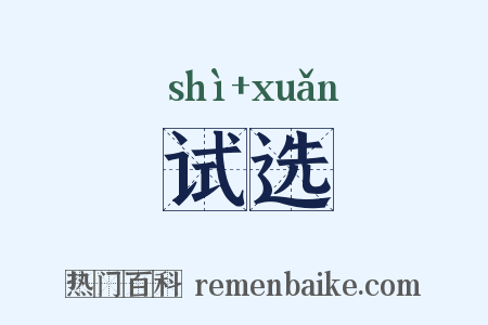 试选是什么意思的图片
